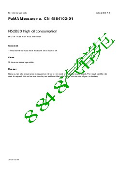 4884102-01N52B30 high oil consumption