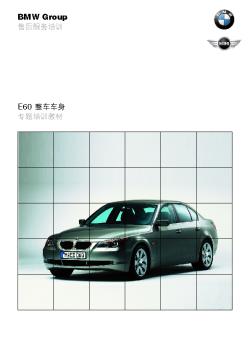 E60_body_chs