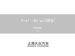Profi-Anlauf培训(方案2)