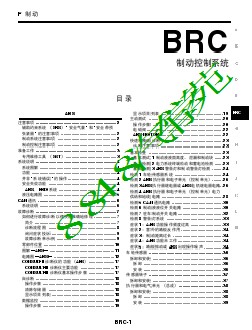 制动控制系统 BRC