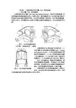 上海别克安全气囊检修1