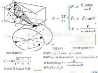 接触强度