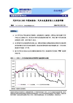 2005中国汽车策略