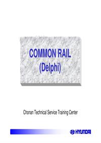 COMMON RAIL(DELPHI)