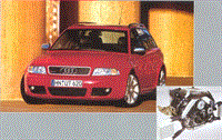 245 - Audi RS4