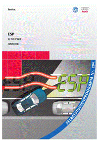 204 - ESP Electronic Stability Programme CN