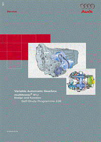 228 - Variable Automatic Gearbox multirtonic ® 01J GB