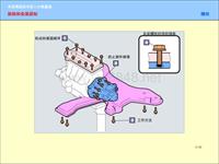 丰田TEAM21二级_基础技能