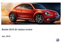 Beetle status review_social part 0119V1