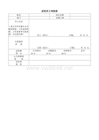 试用员工考核表