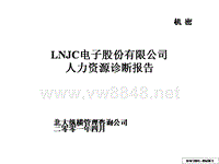 北大纵横——LNJC电子股份有限公司人力资源诊断报告