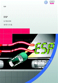 大众甲壳虫_SSP-204CH