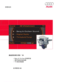 SSP366 奥迪信息娱乐系统