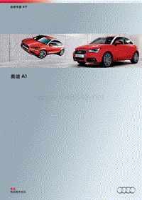 20 SSP477 Audi A1 DG CN 车型